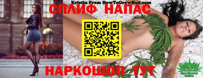 каннабис Аргун