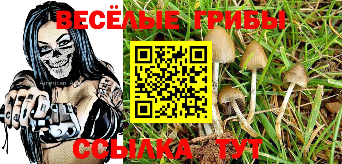 Псилоцибиновые грибы Magic Shrooms Берёзовский